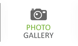 Photo Gallery